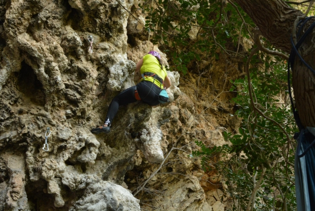 Montando a las Adjuntas